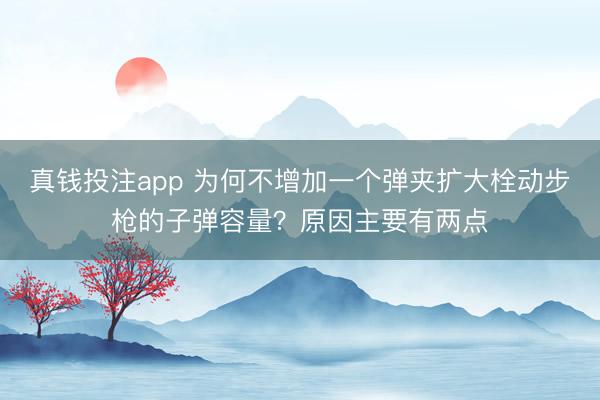 真钱投注app 为何不增加一个弹夹扩大栓动步枪的子弹容量？原因主要有两点